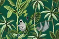 A close-up of a TROP - 02 | Tropical Series Nature Look 52 inches Economy Paper (Customized Size Wallpaper) available at Material Depot in Bangalore