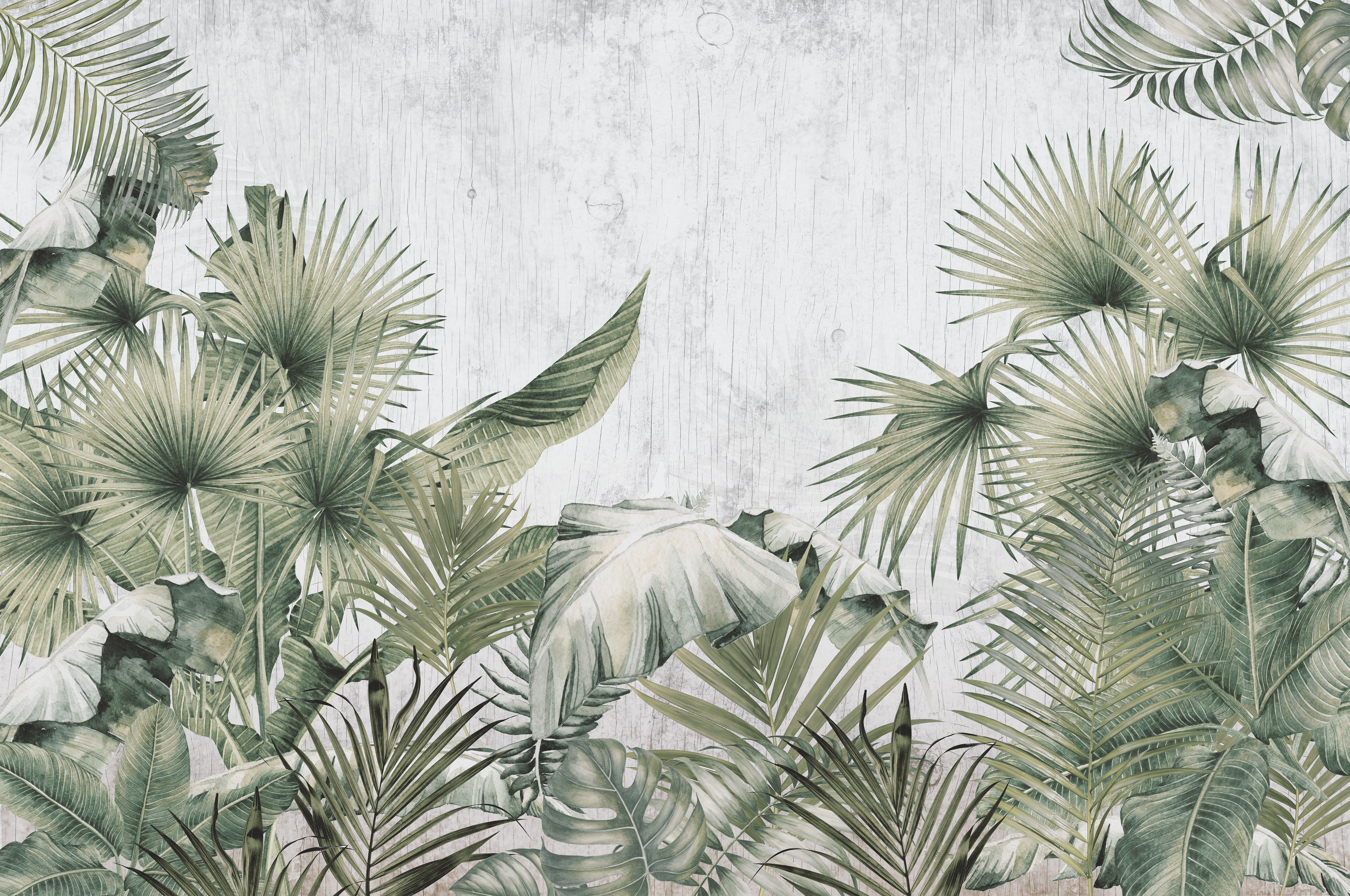 TROP - 04 | Tropical Series Nature Look 40 inches Canvas Paper (Customized Size Wallpaper)
