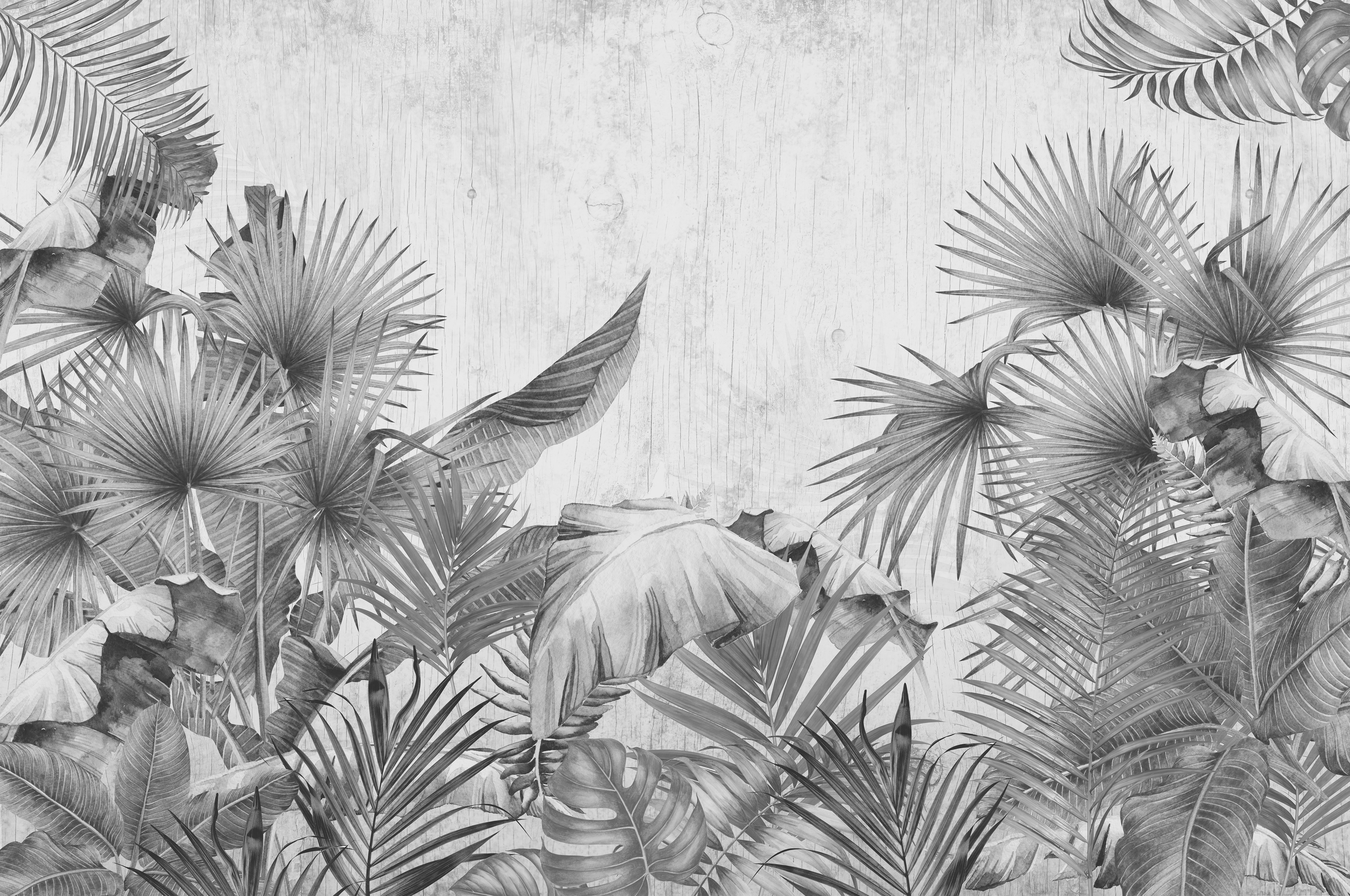 A close-up of a TROP - 04A | Tropical Series Nature Look 52 inches Economy Paper (Customized Size Wallpaper) available at Material Depot in Bangalore