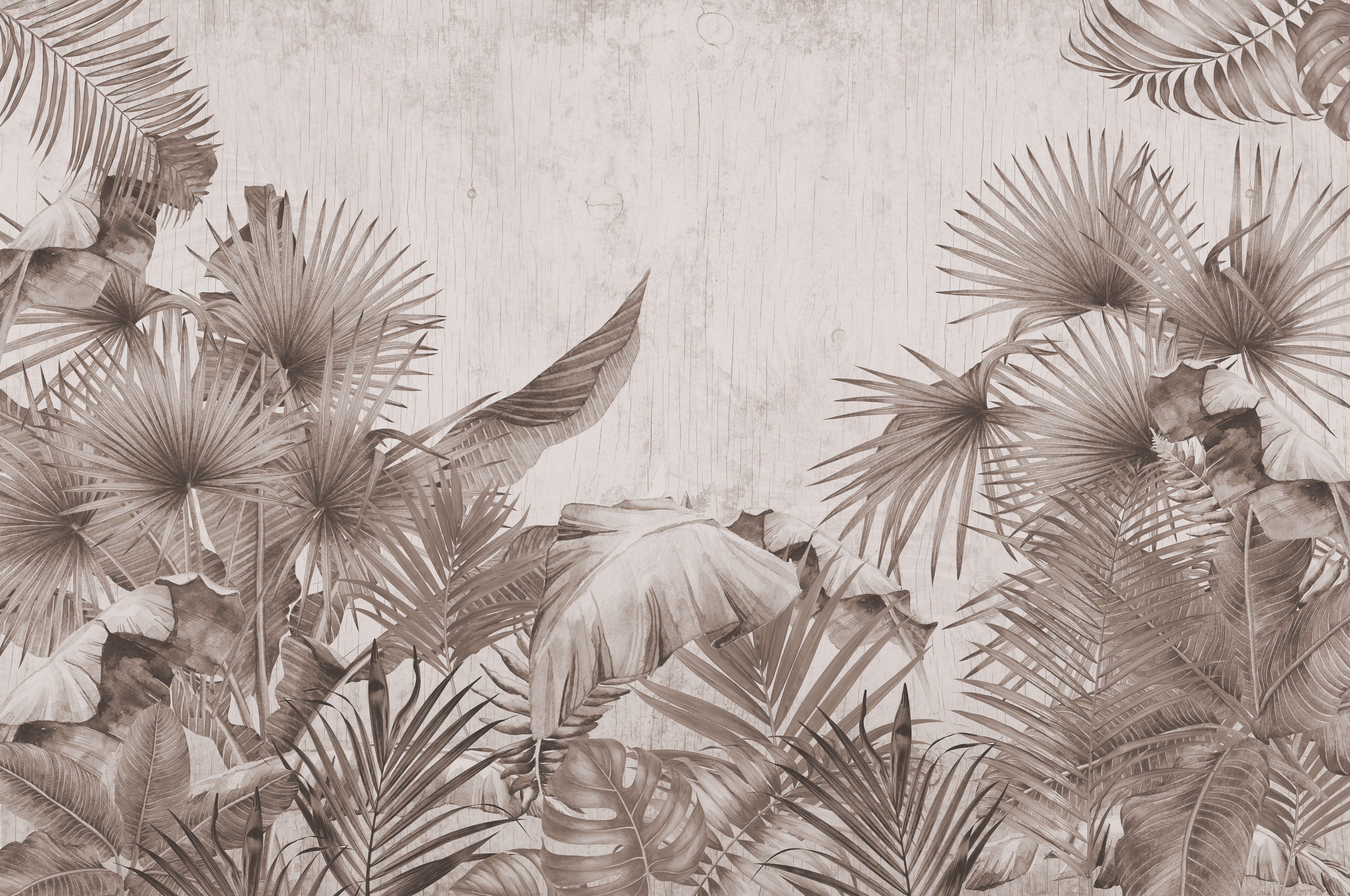 A close-up of a TROP - 04B | Tropical Series Nature Look 50 inches Premium Paper (Customized Size Wallpaper) available at Material Depot in Bangalore