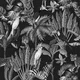 A close-up of a TROP - 15A | Tropical Series Nature Look 50 inches Premium Paper (Customized Size Wallpaper) available at Material Depot in Bangalore