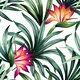 A close-up of a TROP - 19 | Tropical Series Nature Look 40 inches Canvas Paper (Customized Size Wallpaper) available at Material Depot in Bangalore
