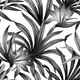 A close-up of a TROP - 19A | Tropical Series Nature Look 40 inches Canvas Paper (Customized Size Wallpaper) available at Material Depot in Bangalore