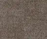 799-Brown Royal Touch Series 30 Meter x 4 Meter 100% Solution Dyed DUPONT Super Soft Olefin Fiber Carpet Tile - 16 mm Image 01