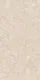 A close-up of aMarble Wall & Floor Tile TL 06378 B Trinity Beige 4 ft x 2 ft Vitrified Glossy Finish - 9 mm | Suitable for Living Room, Bedroom & Bathroom with a Glossy finish available at Material Depot in Bangalore