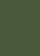 Parrot Green