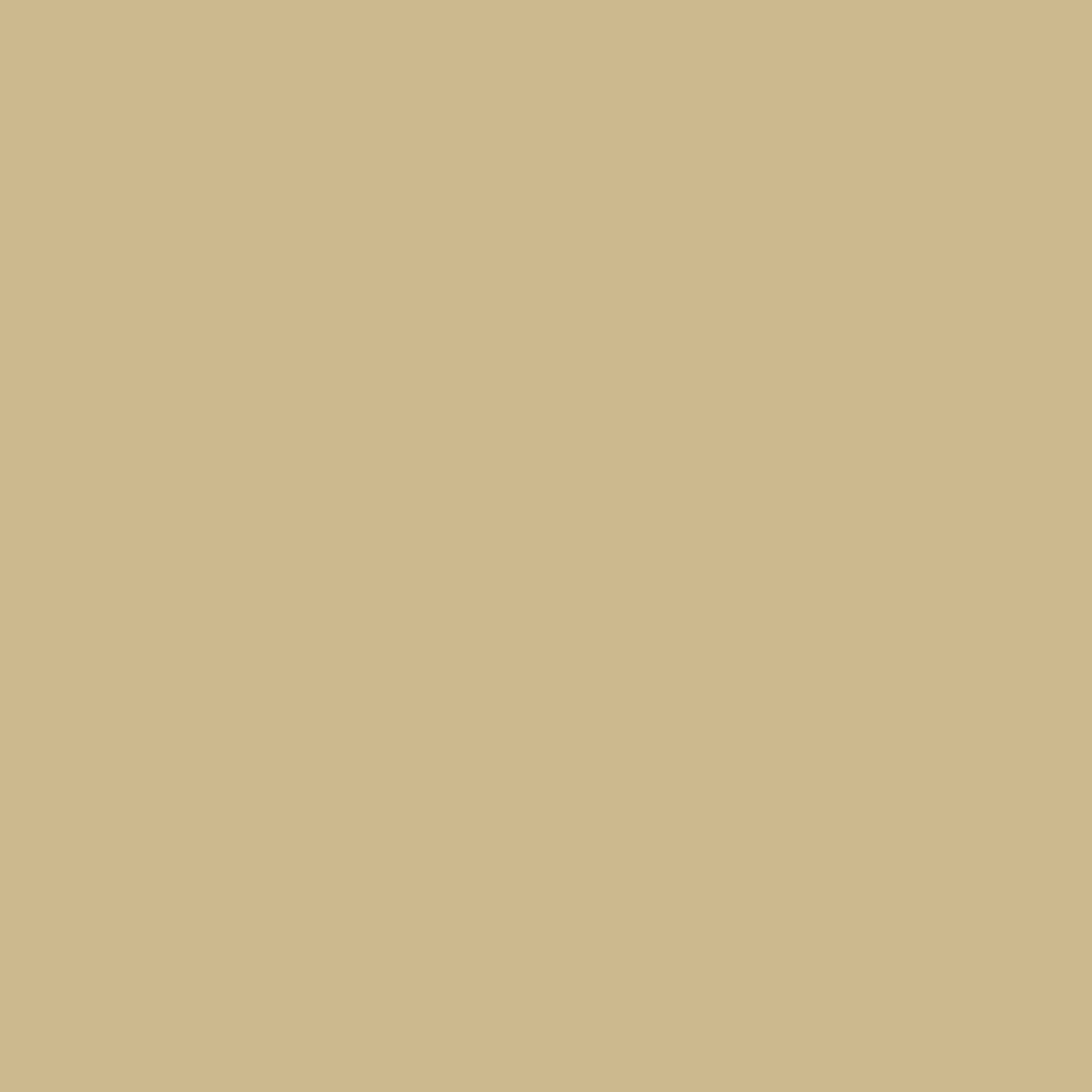 Ochre Brown Solid Colors Look LM 24449 8 ft x 4 ft High Gloss Finish Decorative Laminate - 1 mm | Suitable for Living Room, Kitchen, Office