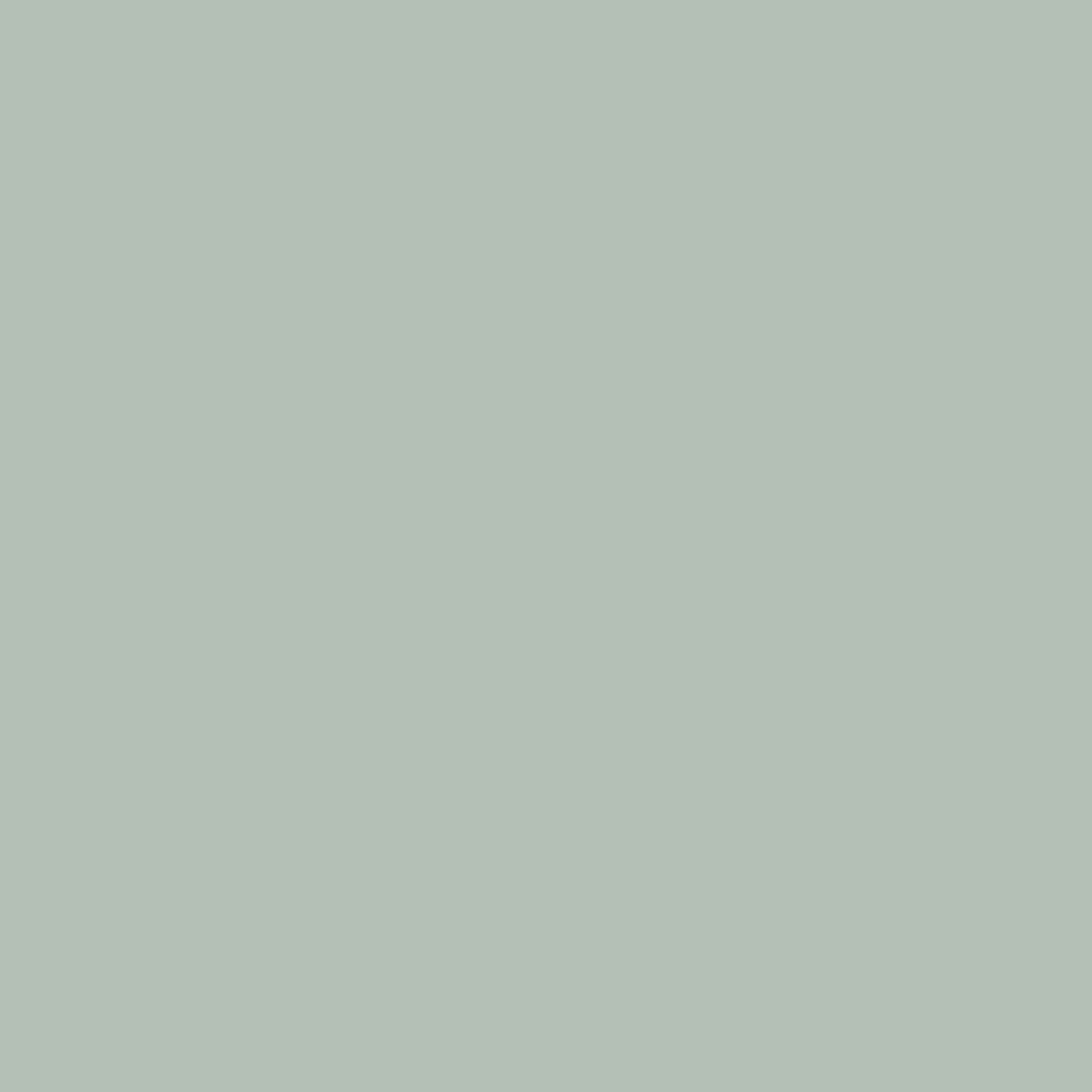 Deep Olive Green Solid Colors Look LM 24451  8 ft x 4 ft High Gloss Finish Decorative Laminate - 1 mm | Suitable for Living Room, Kitchen, Office