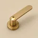 PVD Gold TT