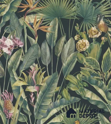 13334 | Black Toucan Jungle Floral Wallpaper - 10 Meter x 21 Inch, 57 Sq. Ft.