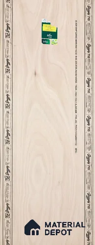 Pine Wood 96 x 33 inch BWP Grade Flush Door - 32 mm 