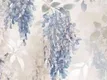 Dove Grey