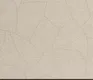 Cappuccino Beige