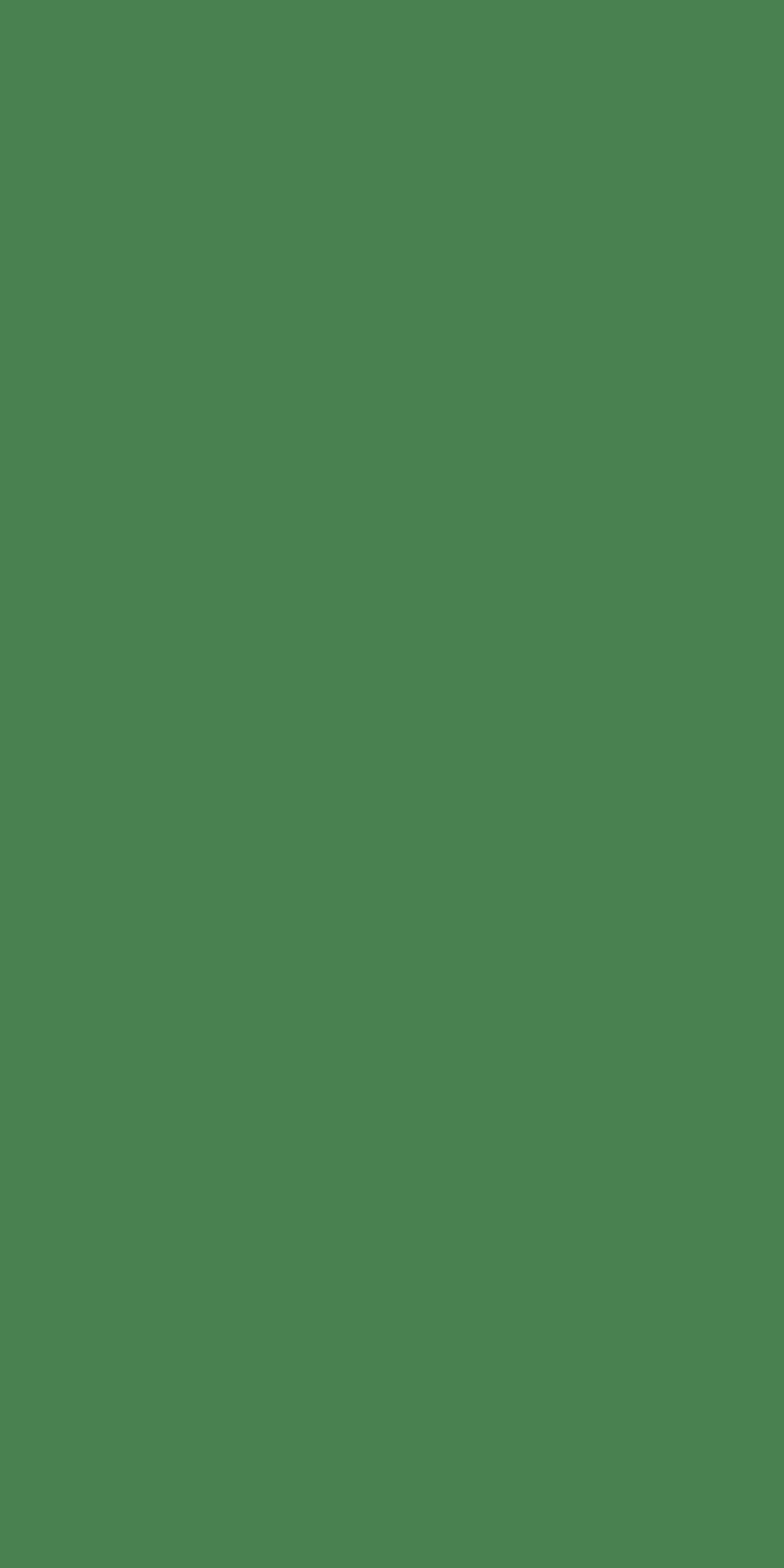 LM 26325 Sheen Green 8 ft x 4 ft High Gloss Finish Acrylic Laminate - 1.5 mm | Suitable for TV Unit, Wardrobe, Cabinets | Image 01