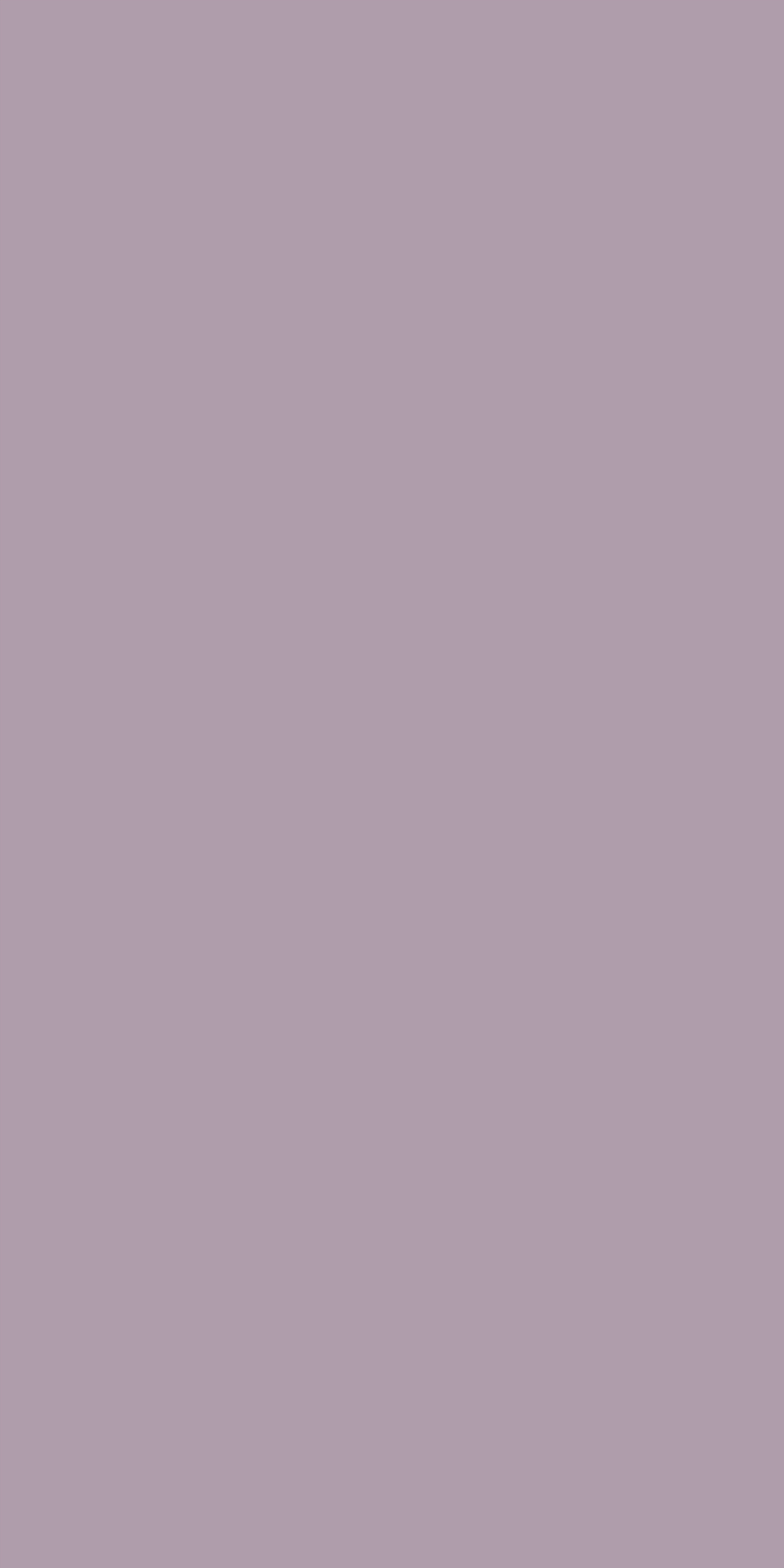 LM 26341 Regal Bronzite 8 ft x 4 ft Matte Finish 6H Anti Scratch Acrylic Laminate - 1.5 mm | Suitable for TV Unit, Wardrobe, Cabinets