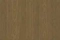 Sheet