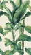 Leanna Ivory Decor