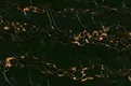 TL 08295 C Marble Ceramic Tile | Image -1