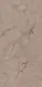 Taupe Brown
