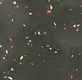 Terrazzo Floor TL 13505 M Luna Nero 8 inch x 8 inch | Non Rectified Vitrified Dry Grit GHR Finish Tile - 8 mm | 2 mm Spacer is Mandatory | Image 1
