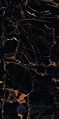 TL 08731 Black 4 ft x 2 ft Glossy Finish Vitrified Floor & Wall Tile - 8.5 mm