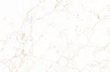 Marble Look Wall Tile TL 08844 C | Glossy Finish 18 x 12 inch Ceramic Tile - 7 mm | Suitable For Kitchen & Bathroom| Image 1