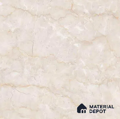 Marble Look Floor Tile TL 08755 B 12 x 12 inch Matte Finish Ceramic Tile - 8 mm