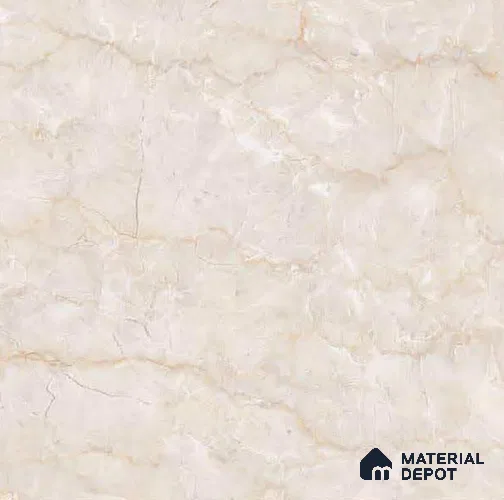 Marble Look Floor Tile TL 08755 B 12 x 12 inch Matte Finish Ceramic Tile - 8 mm