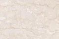 Warm Beige