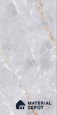 TL 08615 Grey 4 ft x 2 ft Glossy Finish Vitrified Floor & Wall Tile - 9 mm