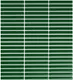 Zucchini