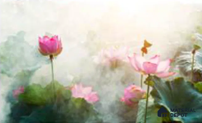 Lotus at Dawn Tropical Mist Nature Art | WP 04006 Non Woven Matte Finish Tropical Style Premium Customized size Wallpaper | 150 GSM WP01MTF Paper | (MOQ = 30 Sq. Ft.)