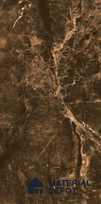 TL 08556 Wenge 4 ft x 2 ft High Gloss Finish Vitrified Wall & Floor Tile - 9 mm