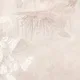 Feather Pink