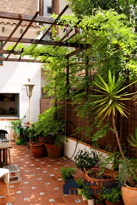 Cozy Terrace with Terracotta Tiles and Lush Greenery | Material Depot
