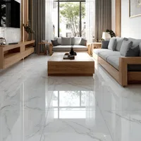 Living Room Tiles