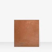 Earthy Terracotta