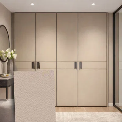 Closeup application image of Wardrobe containing Leather Laminates