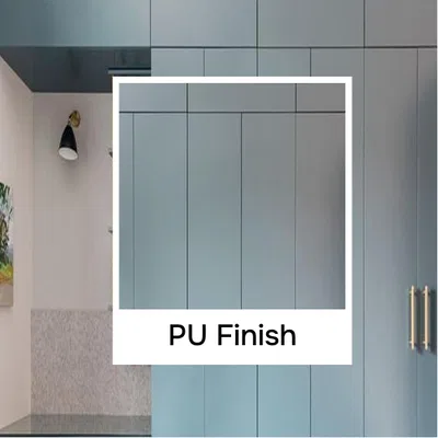 Closeup application image of Wardrobe containing PU Finish Laminates