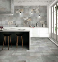 Matte Finish Tiles