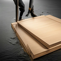 BWP Grade Plywood