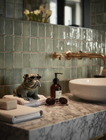 Bathroom Tiles