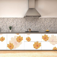 Kitchen Decorative Laminates